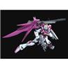 P-BANDAI MG 1/100 DESTINY IMPULSE GUNDAM R (REGENES)