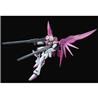 P-BANDAI MG 1/100 DESTINY IMPULSE GUNDAM R (REGENES)