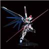 P-BANDAI RG 1/144 THE GUNDAM BASE ZGMF-X10A FREEDOM GUNDAM Ver.GCP