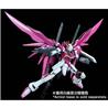 P-BANDAI MG 1/100 DESTINY IMPULSE GUNDAM R (REGENES)
