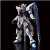 P-BANDAI RG 1/144 THE GUNDAM BASE ZGMF-X10A FREEDOM GUNDAM Ver.GCP