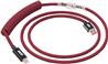 Câble clavier iCAN Type-A Mâle vers Type-C Mâle, Rouge, 5 pieds