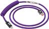 Câble clavier iCAN Type-A Mâle vers Type-C Mâle, Violet, 5 pieds