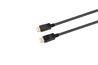 iCAN Premium DisplayPort 1.4 vers DisplayPort 1.4