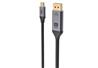 Câble iCAN USB Type C vers DisplayPort, 8K, mâle vers mâle, 6 pieds, noir