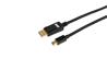 iCAN DisplayPort to Mini DisplayPort Cable