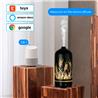 iCAN Smart Wi-Fi Humidifier, Aroma Diffuser + Alexa & Google Assistant