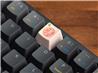 Keychron Zinc Alloy OEM Artisan Keycap - Grapefruit