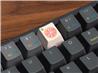 Keychron Zinc Alloy OEM Artisan Keycap - Grapefruit