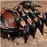 ROKR MI04 Emperor Scorpion STEM Educational Learning