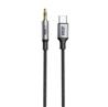 Câble iCAN Type-C Mâle vers 3.5 mm Audio Mâle, 3 pieds