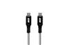 Câble iCAN USB 3.1 Type-C Mâle vers Type-C Mâle, 100W, 3 pieds