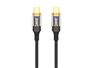 Câble iCAN USB 2.0 Type-C Mâle vers Type-C Mâle, 100W, 6,6 pieds