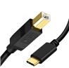 Câble iCAN USB 2.0 Type-C Mâle vers Type-B Mâle, 3 pieds