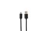 iCAN USB 2.0 Type-A Male to Type-C Male Cable, 15W, 9.9ft