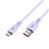 Câble iCAN USB 2.0 Type-A Mâle vers Type-C Mâle, 100W, 3,3 pieds