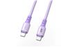 Câble iCAN USB 2.0 Type-C Mâle vers Type-C Mâle, 100W, 6,6 pieds