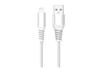 Câble iCAN MFi Type-A Mâle vers Lightning Mâle, 5V/2.4A, 6 pieds