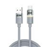Câble iCAN LED Chaud USB 2.0 Type-A Mâle vers Type-C Mâle, 3A, 6 pieds