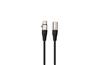 iCAN Audio XLR Male to Female Microphone Cable, 10FT, Black