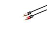 iCAN 2xRCA Audio Cable, Gold Plated, Black, 10FT