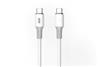 Câble iCAN USB 2.0 Type-C Mâle vers Type-C Mâle, 100W, 3,3 pieds