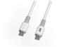 Câble iCAN USB 2.0 Type-C Mâle vers Type-C Mâle, 100W, 3,3 pieds
