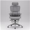 iCAN E21-GY Reclining Ergonomic Office Chair