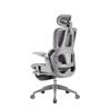 Chaise de bureau ergonomique inclinable iCAN E21-GY