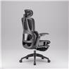 iCAN E21-BK Special Mesh Ergonomic Office Chair