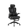 Chaise de bureau ergonomique iCAN E21-BK en maille spéciale