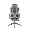 Chaise de bureau ergonomique inclinable iCAN E21-GY
