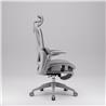iCAN E21-GY Reclining Ergonomic Office Chair
