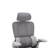 Chaise de bureau ergonomique inclinable iCAN E21-GY