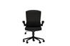 iCAN FA-BK Mesh Office Chair(Open Box)
