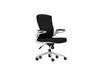 iCAN FA-WH Mesh Office Chair(Open Box)