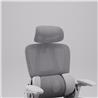 iCAN E21-GY Reclining Ergonomic Office Chair