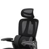 Chaise de bureau ergonomique iCAN E21-BK en maille spéciale