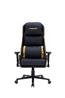ARMOURY 9891 Black & Gold Elite Edition Gaming Chair