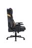 ARMOURY 9891 Black & Gold Elite Edition Gaming Chair