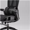 iCAN E21-BK Special Mesh Ergonomic Office Chair