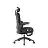 Chaise de bureau ergonomique iCAN E21-BK en maille spéciale