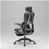 iCAN E21-BK Special Mesh Ergonomic Office Chair