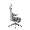 Chaise de bureau ergonomique inclinable iCAN E21-GY