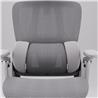 iCAN E21-GY Reclining Ergonomic Office Chair