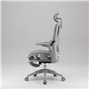 iCAN E21-GY Reclining Ergonomic Office Chair