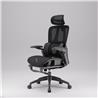 iCAN E21-BK Special Mesh Ergonomic Office Chair