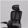 iCAN E21-BK Special Mesh Ergonomic Office Chair