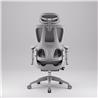 iCAN E21-GY Reclining Ergonomic Office Chair
