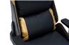 ARMOURY 9891 Black & Gold Elite Edition Gaming Chair